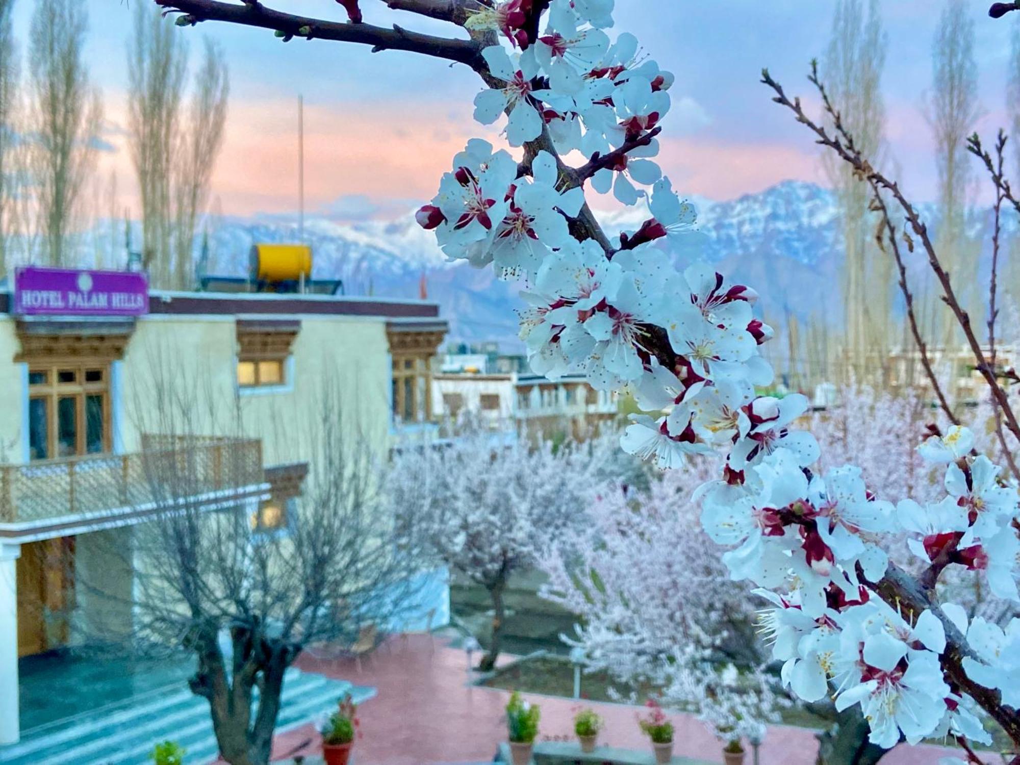 Hotel Palam Hills Leh Eksteriør bilde