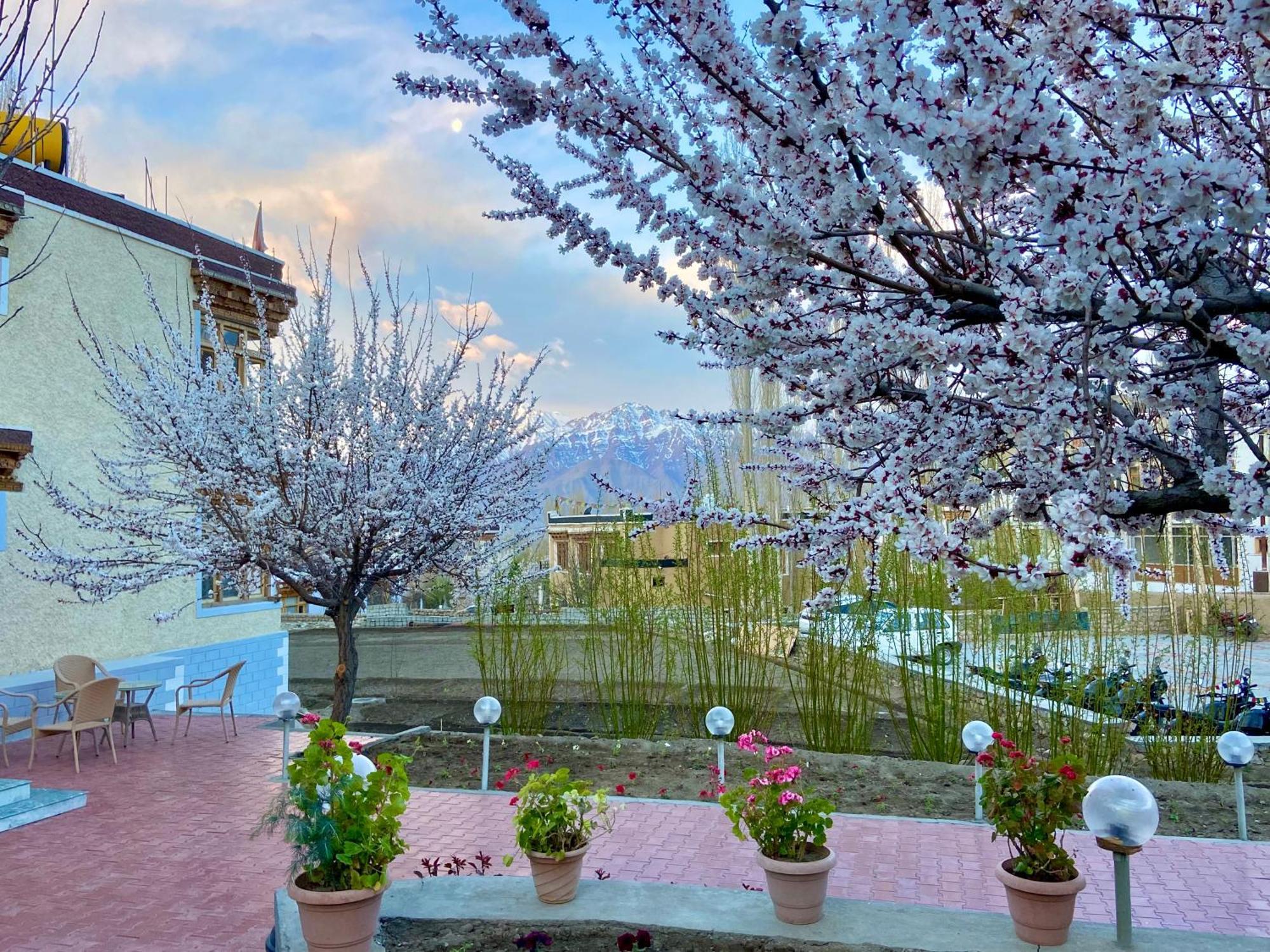 Hotel Palam Hills Leh Eksteriør bilde