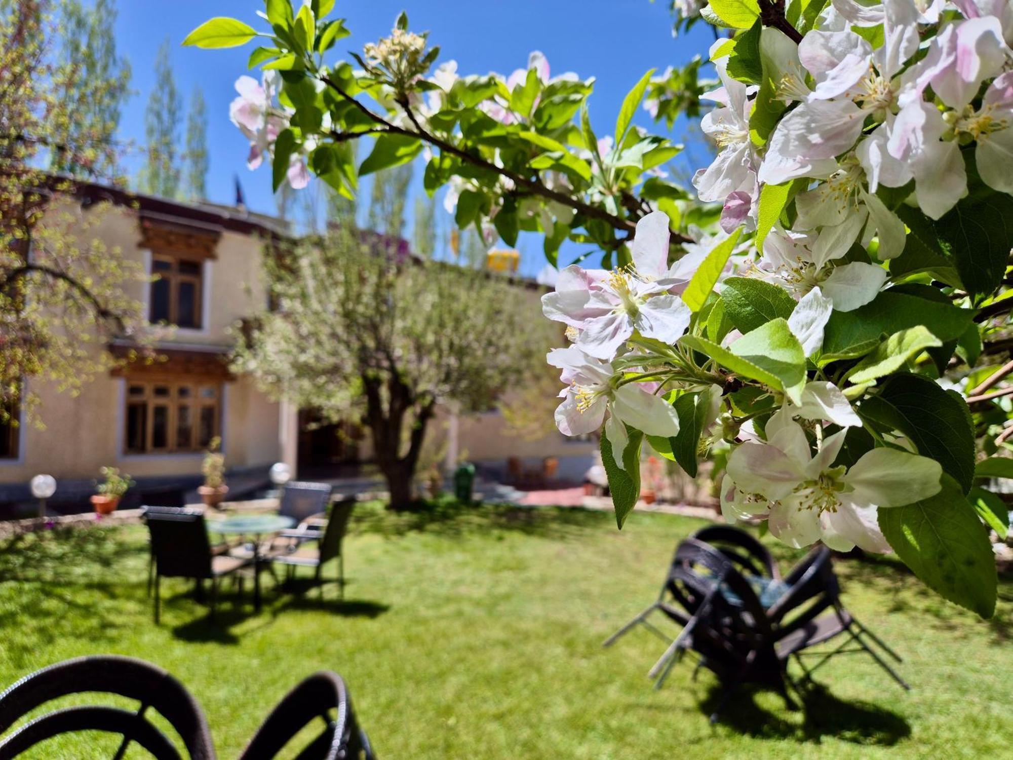 Hotel Palam Hills Leh Eksteriør bilde